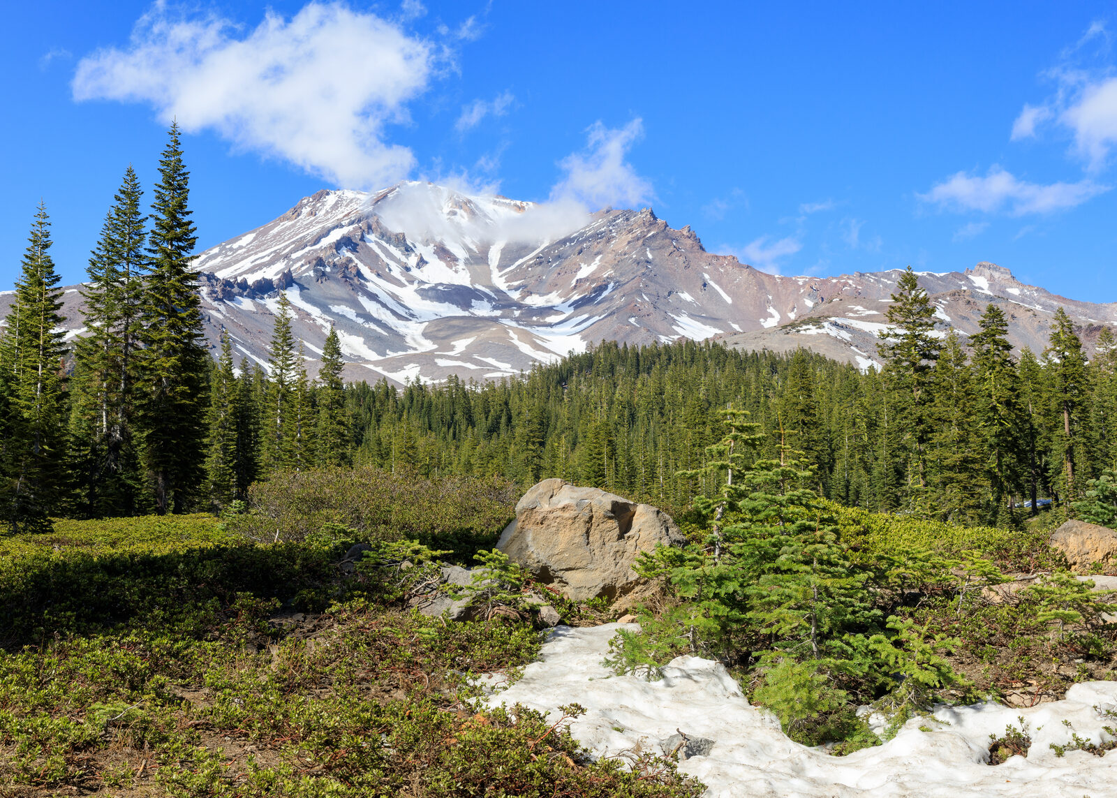 Mount Shasta seen from Bunny Flat in summer light