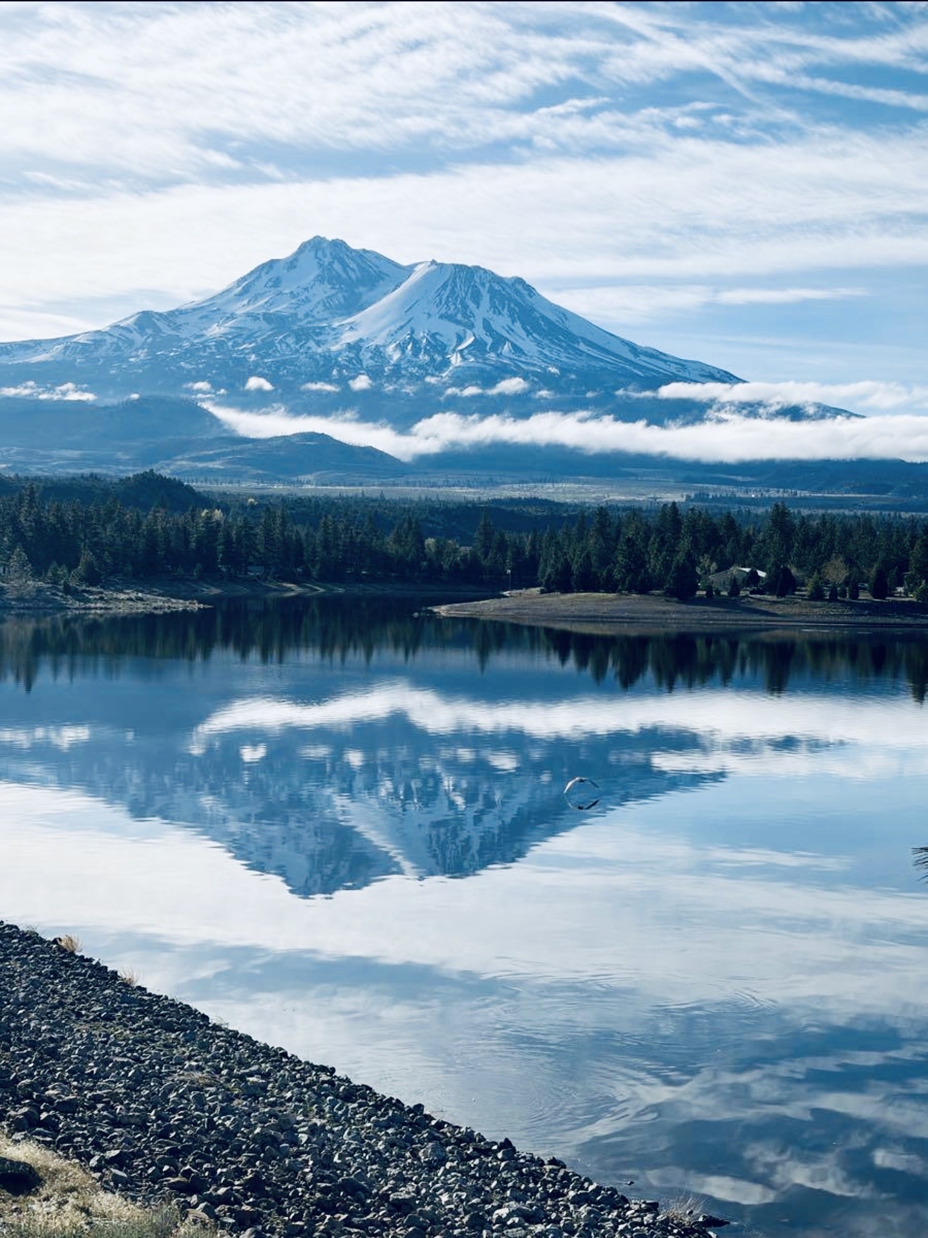 Mount Shasta mirrored in the still surface of a nearby lake at dawn